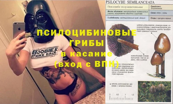 метадон Фёдоровский