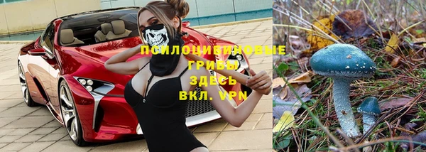 apvp Лагань