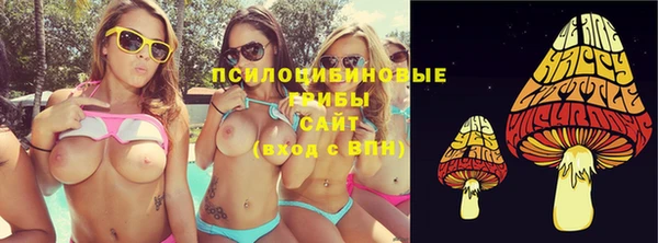 apvp Лагань