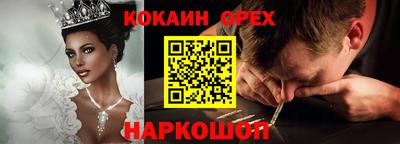 индика Будённовск