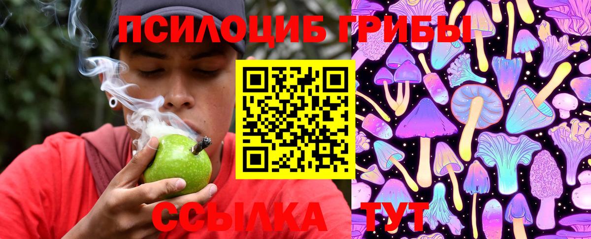 Карачаевск  Псилоцибиновые грибы прущие грибы  Галлюциногенные грибы мухоморы  где купить наркоту  Вход с VPN 