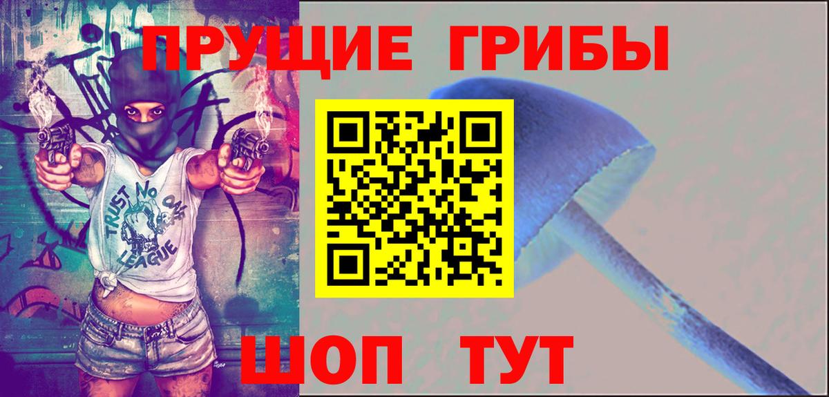 Псилоцибиновые грибы Magic Shrooms  Карачаевск  Галлюциногенные грибы GOLDEN TEACHER 